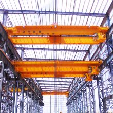 WEIHUA Double Girder Overhead Crane with Electric Hoist
